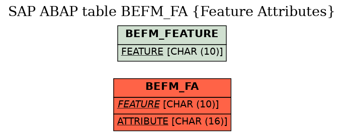 E-R Diagram for table BEFM_FA (Feature Attributes)