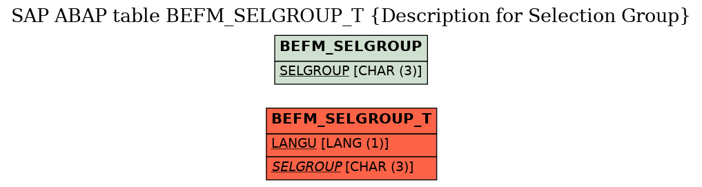E-R Diagram for table BEFM_SELGROUP_T (Description for Selection Group)