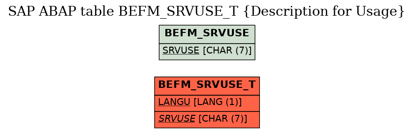 E-R Diagram for table BEFM_SRVUSE_T (Description for Usage)