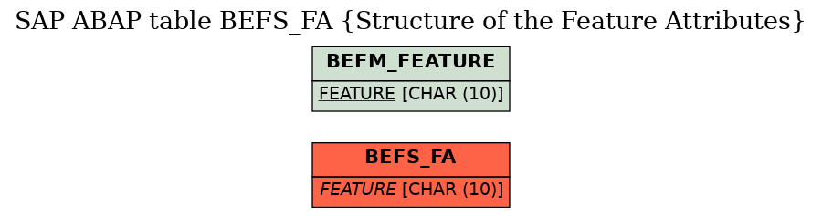 E-R Diagram for table BEFS_FA (Structure of the Feature Attributes)