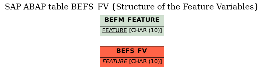 E-R Diagram for table BEFS_FV (Structure of the Feature Variables)