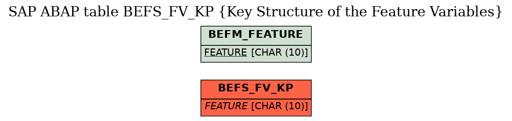 E-R Diagram for table BEFS_FV_KP (Key Structure of the Feature Variables)