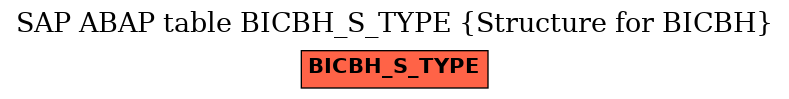 E-R Diagram for table BICBH_S_TYPE (Structure for BICBH)