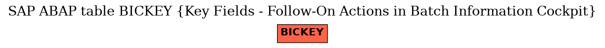 E-R Diagram for table BICKEY (Key Fields - Follow-On Actions in Batch Information Cockpit)
