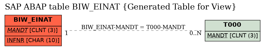 E-R Diagram for table BIW_EINAT (Generated Table for View)