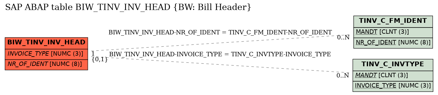 E-R Diagram for table BIW_TINV_INV_HEAD (BW: Bill Header)