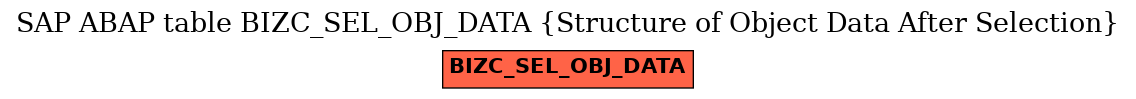 E-R Diagram for table BIZC_SEL_OBJ_DATA (Structure of Object Data After Selection)