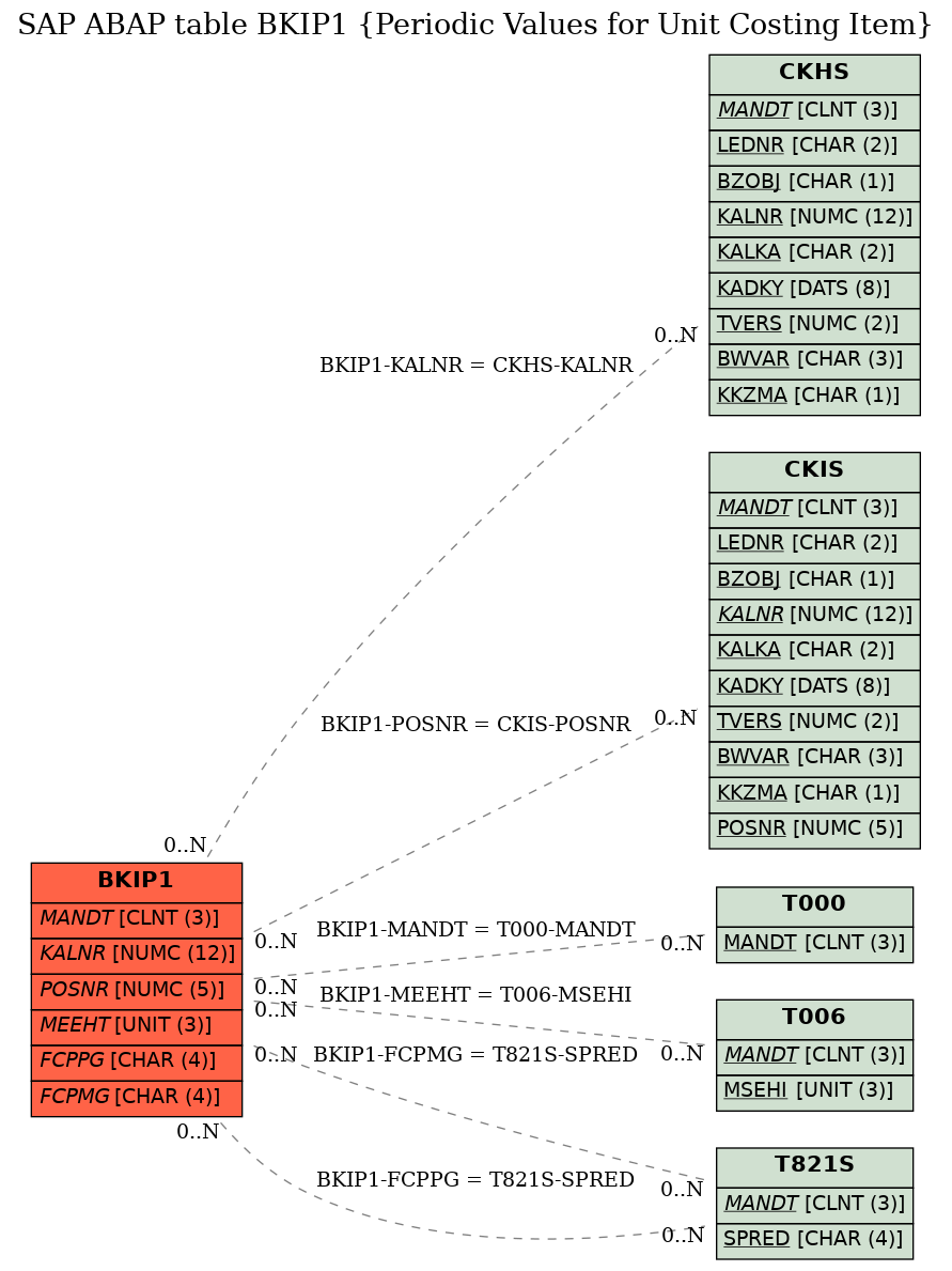 E-R Diagram for table BKIP1 (Periodic Values for Unit Costing Item)