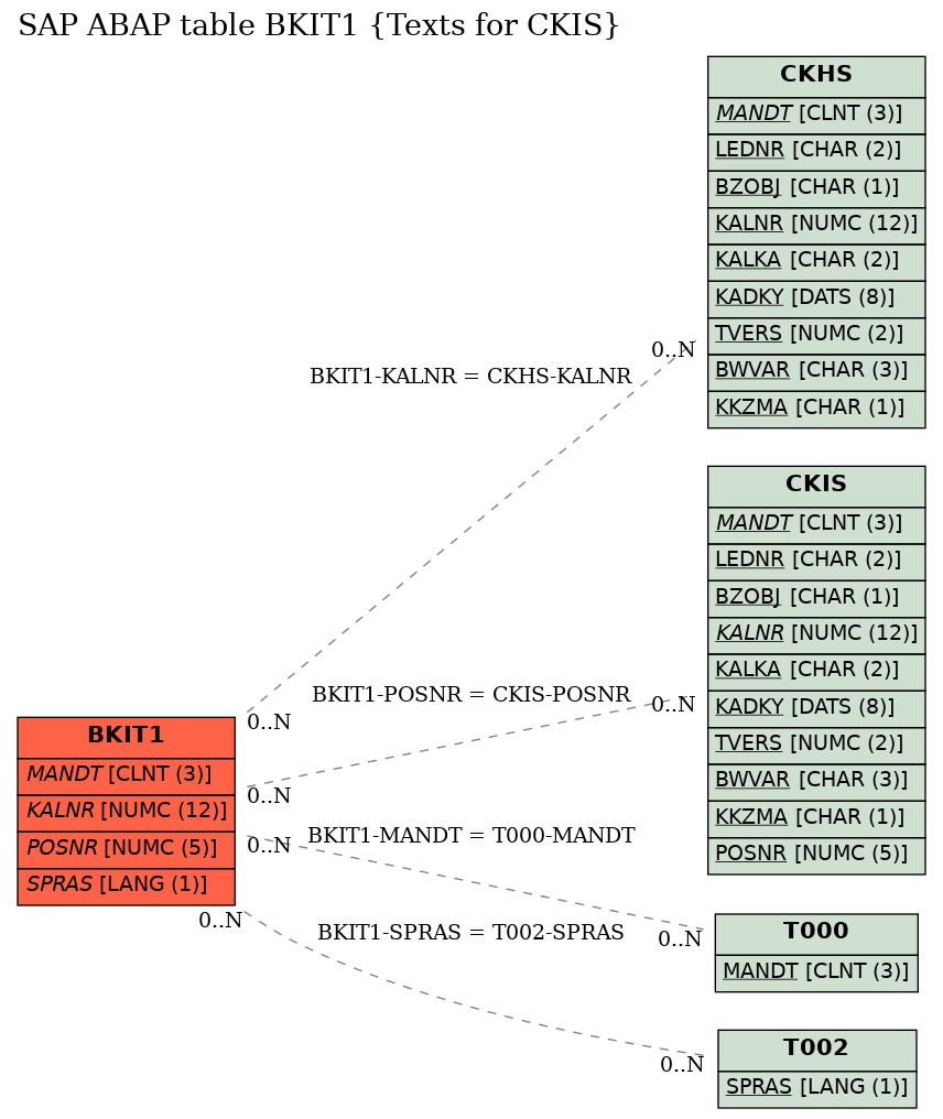 E-R Diagram for table BKIT1 (Texts for CKIS)