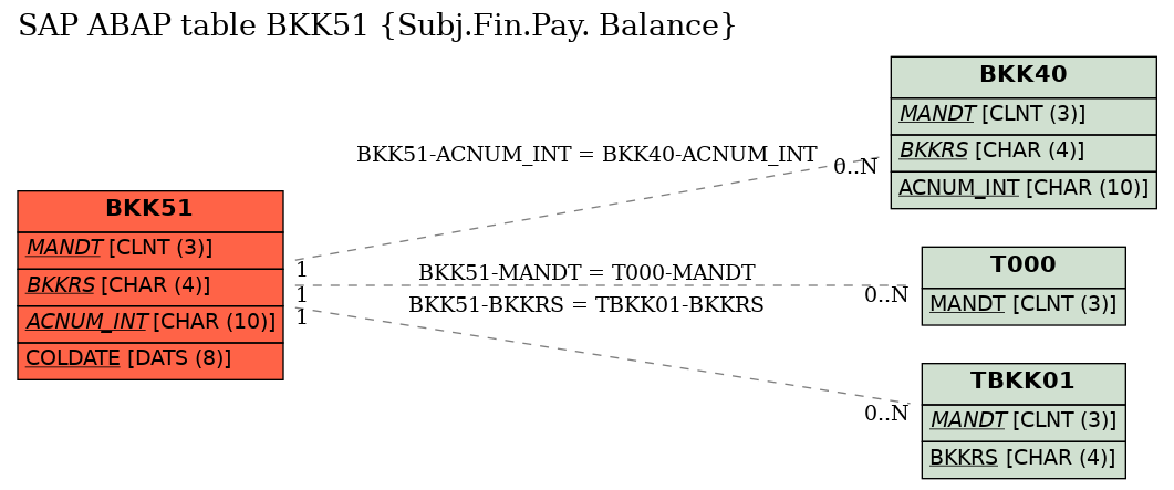 E-R Diagram for table BKK51 (Subj.Fin.Pay. Balance)