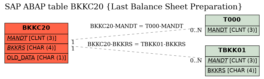 E-R Diagram for table BKKC20 (Last Balance Sheet Preparation)