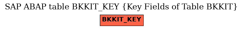 E-R Diagram for table BKKIT_KEY (Key Fields of Table BKKIT)