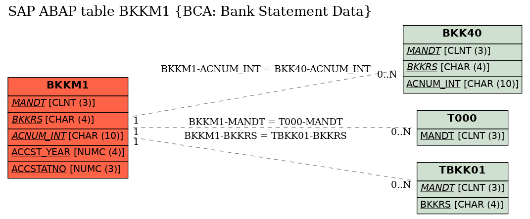 E-R Diagram for table BKKM1 (BCA: Bank Statement Data)