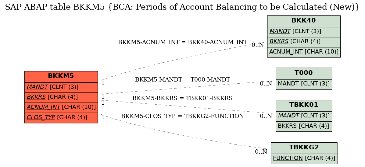 E-R Diagram for table BKKM5 (BCA: Periods of Account Balancing to be Calculated (New))