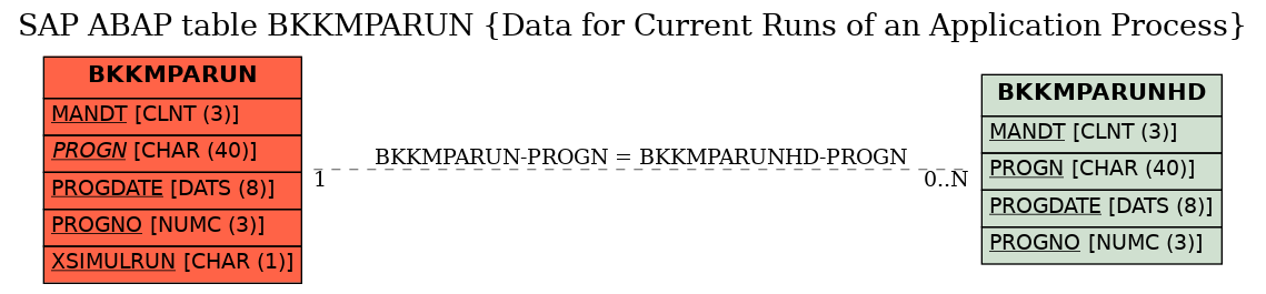 E-R Diagram for table BKKMPARUN (Data for Current Runs of an Application Process)