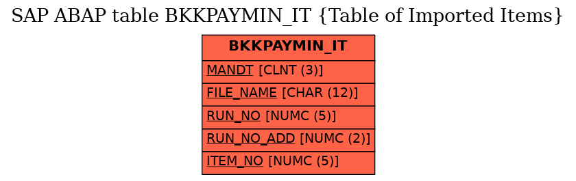 E-R Diagram for table BKKPAYMIN_IT (Table of Imported Items)