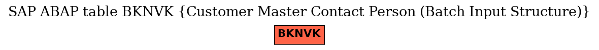 E-R Diagram for table BKNVK (Customer Master Contact Person (Batch Input Structure))