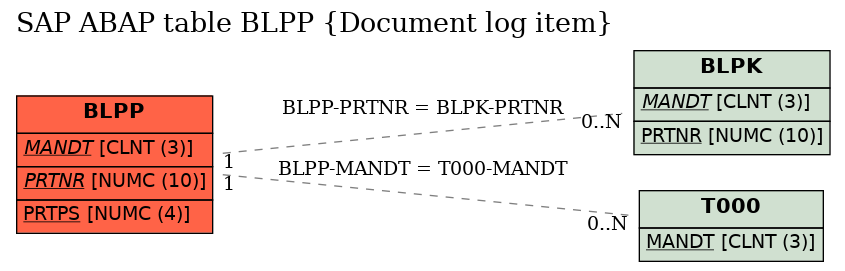 E-R Diagram for table BLPP (Document log item)