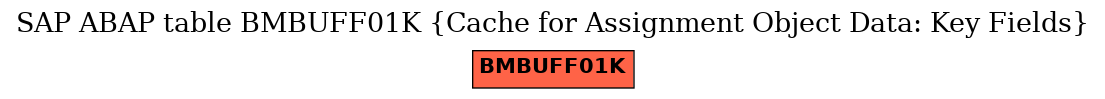 E-R Diagram for table BMBUFF01K (Cache for Assignment Object Data: Key Fields)