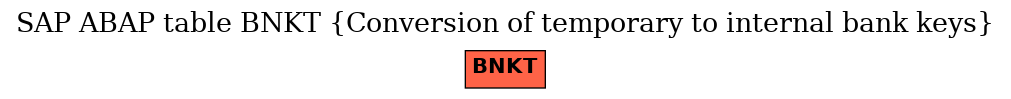 E-R Diagram for table BNKT (Conversion of temporary to internal bank keys)