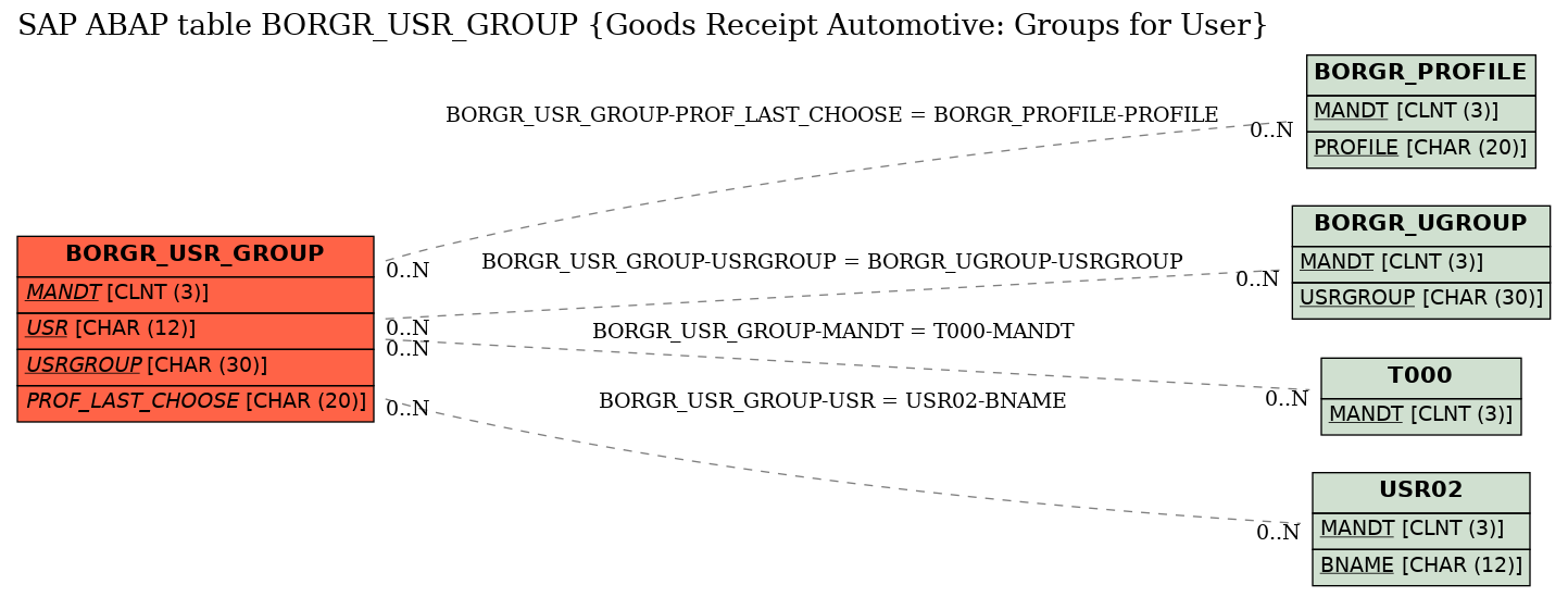 E-R Diagram for table BORGR_USR_GROUP (Goods Receipt Automotive: Groups for User)