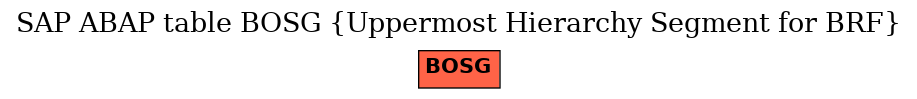 E-R Diagram for table BOSG (Uppermost Hierarchy Segment for BRF)