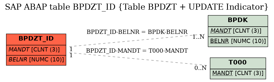 E-R Diagram for table BPDZT_ID (Table BPDZT + UPDATE Indicator)