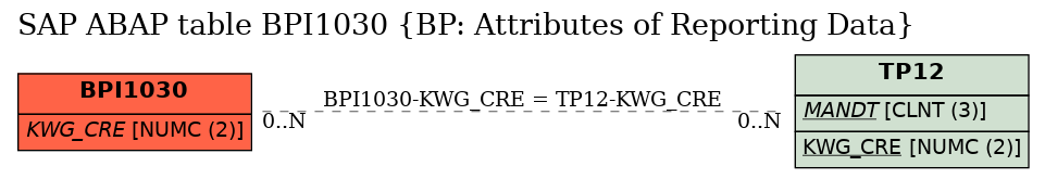 E-R Diagram for table BPI1030 (BP: Attributes of Reporting Data)