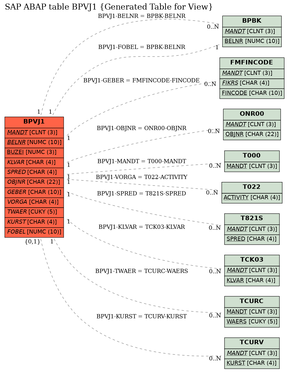 E-R Diagram for table BPVJ1 (Generated Table for View)