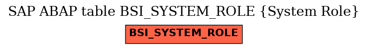 E-R Diagram for table BSI_SYSTEM_ROLE (System Role)