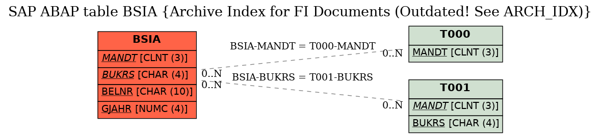 E-R Diagram for table BSIA (Archive Index for FI Documents (Outdated! See ARCH_IDX))