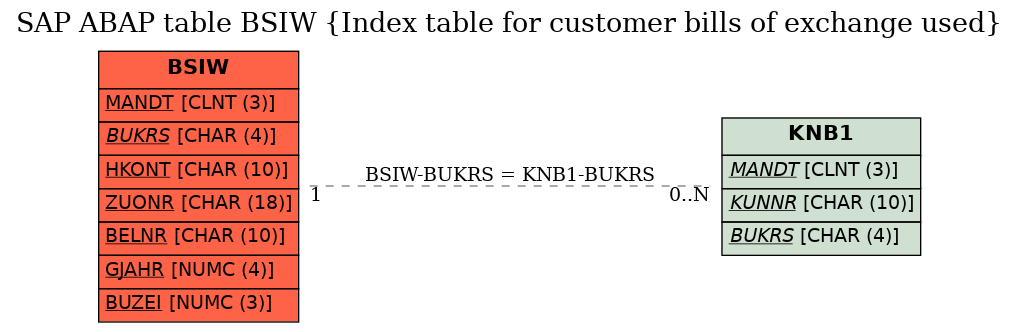 E-R Diagram for table BSIW (Index table for customer bills of exchange used)