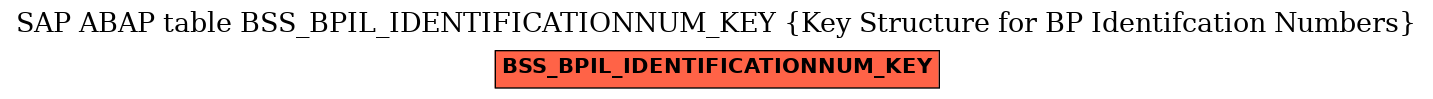 E-R Diagram for table BSS_BPIL_IDENTIFICATIONNUM_KEY (Key Structure for BP Identifcation Numbers)