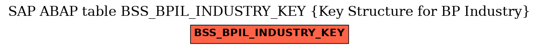 E-R Diagram for table BSS_BPIL_INDUSTRY_KEY (Key Structure for BP Industry)