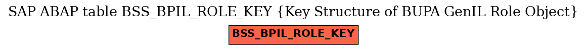 E-R Diagram for table BSS_BPIL_ROLE_KEY (Key Structure of BUPA GenIL Role Object)