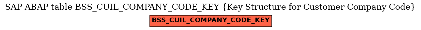 E-R Diagram for table BSS_CUIL_COMPANY_CODE_KEY (Key Structure for Customer Company Code)