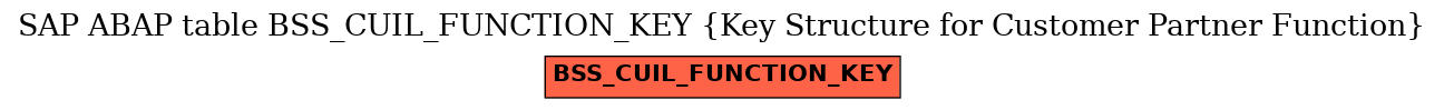 E-R Diagram for table BSS_CUIL_FUNCTION_KEY (Key Structure for Customer Partner Function)