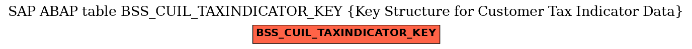 E-R Diagram for table BSS_CUIL_TAXINDICATOR_KEY (Key Structure for Customer Tax Indicator Data)