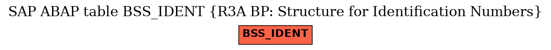 E-R Diagram for table BSS_IDENT (R3A BP: Structure for Identification Numbers)