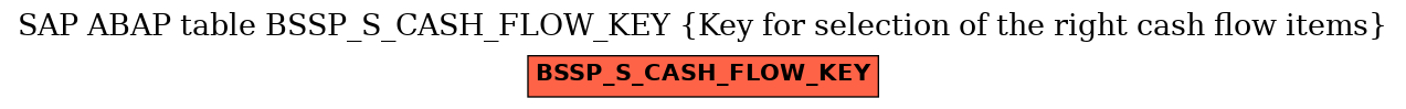 E-R Diagram for table BSSP_S_CASH_FLOW_KEY (Key for selection of the right cash flow items)