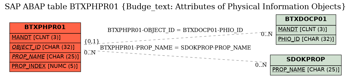 E-R Diagram for table BTXPHPR01 (Budge_text: Attributes of Physical Information Objects)