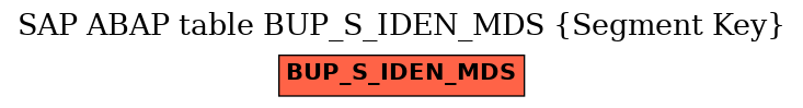 E-R Diagram for table BUP_S_IDEN_MDS (Segment Key)