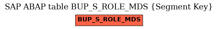 E-R Diagram for table BUP_S_ROLE_MDS (Segment Key)