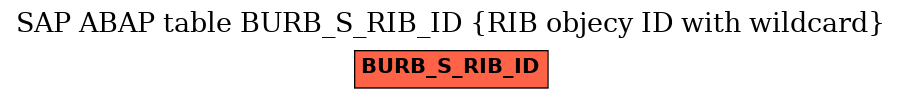 E-R Diagram for table BURB_S_RIB_ID (RIB objecy ID with wildcard)