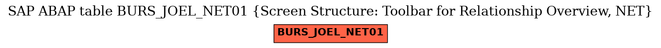 E-R Diagram for table BURS_JOEL_NET01 (Screen Structure: Toolbar for Relationship Overview, NET)