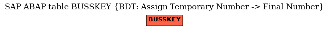 E-R Diagram for table BUSSKEY (BDT: Assign Temporary Number -> Final Number)