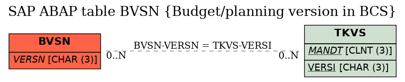 E-R Diagram for table BVSN (Budget/planning version in BCS)