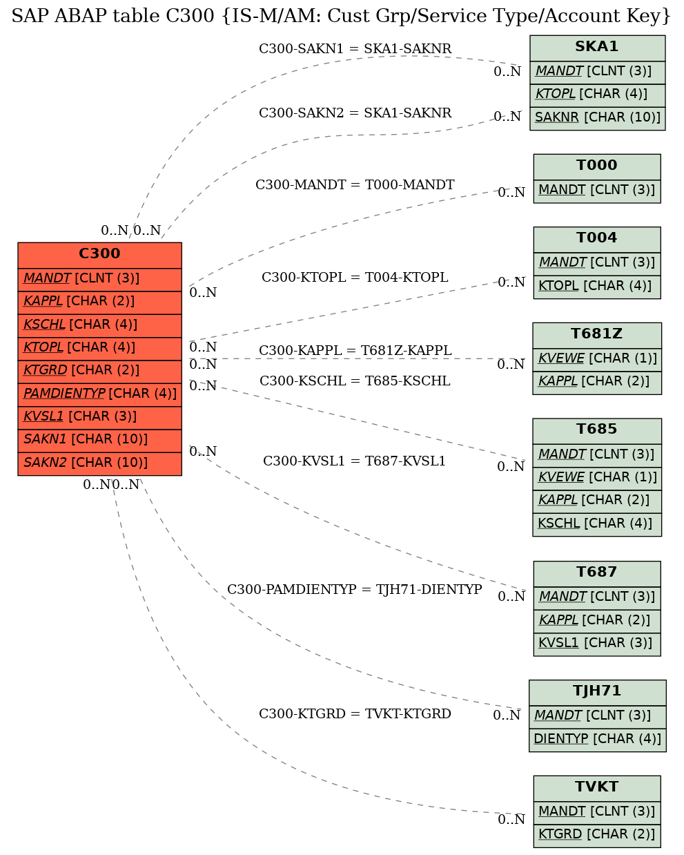 E-R Diagram for table C300 (IS-M/AM: Cust Grp/Service Type/Account Key)