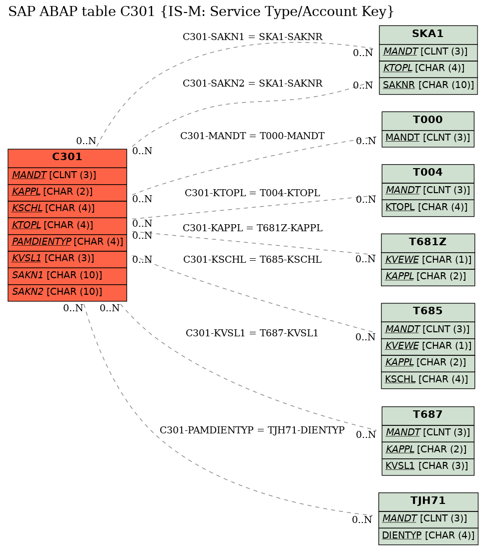 E-R Diagram for table C301 (IS-M: Service Type/Account Key)