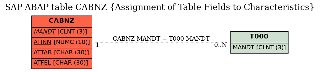 E-R Diagram for table CABNZ (Assignment of Table Fields to Characteristics)